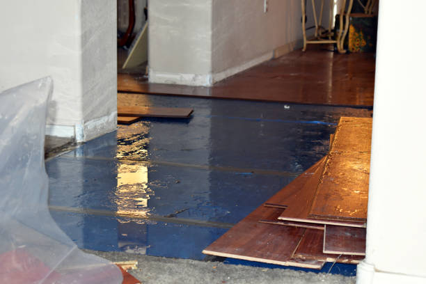 Professional Water Damage Restoration technician working in Milton, MA