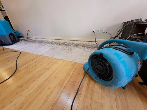 24/7 Emergency Water Damage Restoration experts in Milton, MA