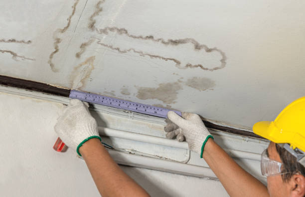 Reliable Water Damage Restoration contractor in Milton, MA by Water Damage Irwin